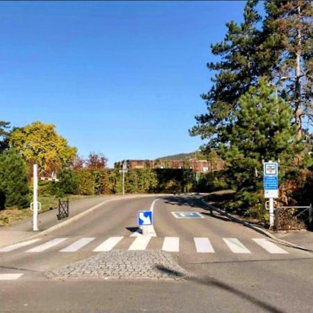 Appartamento L'Appar'T - Centre Historique De Obernai Esterno foto