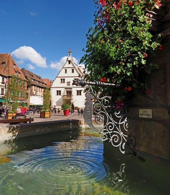 Appartamento L'Appar'T - Centre Historique De Obernai Esterno foto
