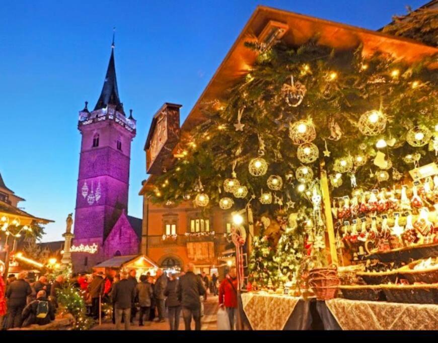 Appartamento L'Appar'T - Centre Historique De Obernai Esterno foto