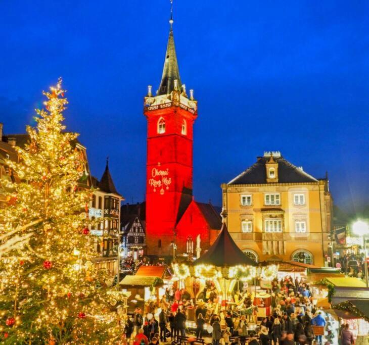 Appartamento L'Appar'T - Centre Historique De Obernai Esterno foto