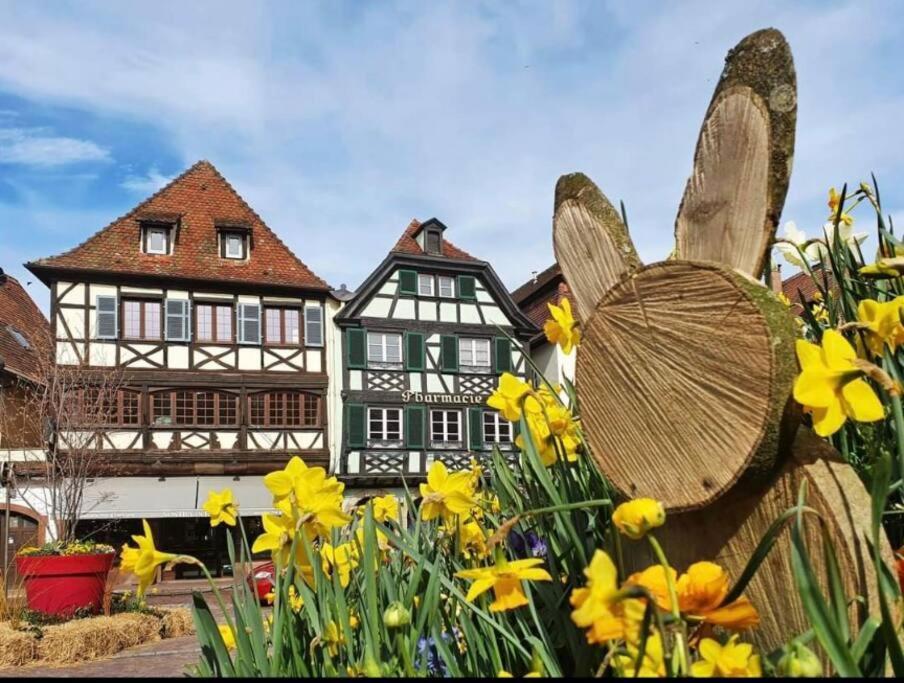 Appartamento L'Appar'T - Centre Historique De Obernai Esterno foto
