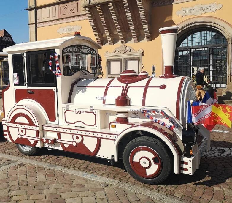 Appartamento L'Appar'T - Centre Historique De Obernai Esterno foto