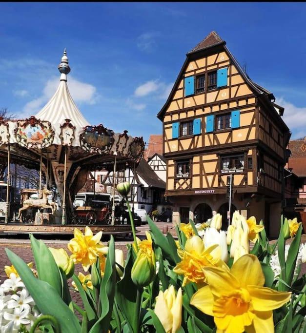 Appartamento L'Appar'T - Centre Historique De Obernai Esterno foto