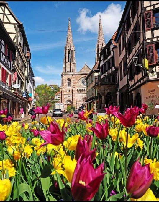 Appartamento L'Appar'T - Centre Historique De Obernai Esterno foto